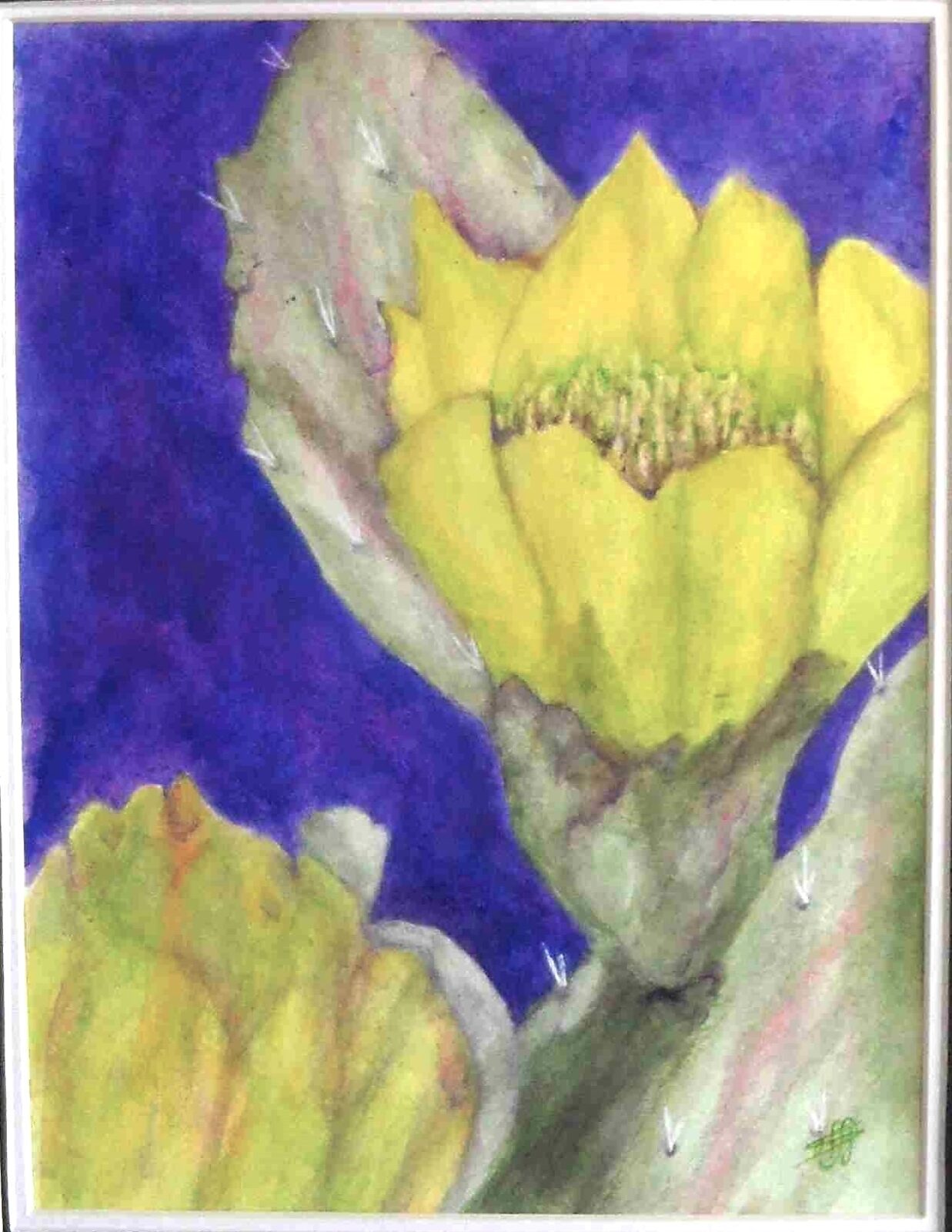 Prickly Beauty - invoice
